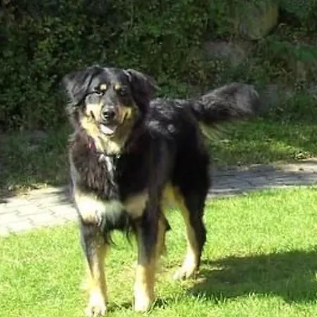 Prázdninový dům In Mit Grill- Garten Und Terrasse By Interhome *